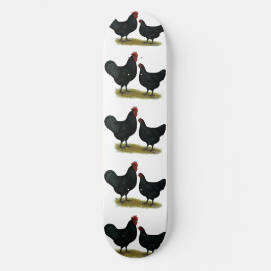 Skateboard Poulets géants Jersey (Recto)