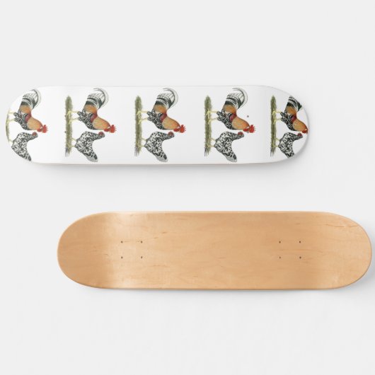 Skateboard Poulets islandais (Horz)
