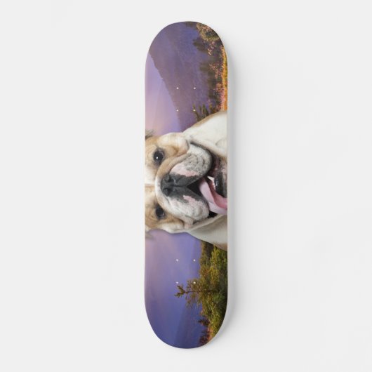 Skateboard Pré de bouledogue (Recto)
