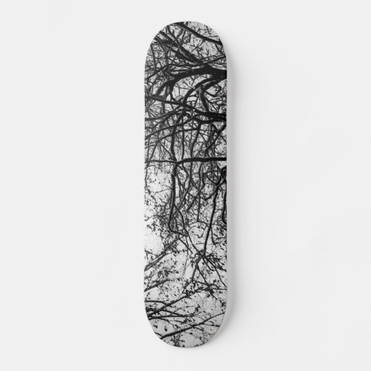 Skateboard première neige (Recto)