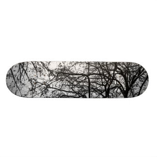Skateboard première neige