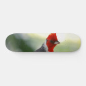 Skateboard Produit de personnaliser (Horz)