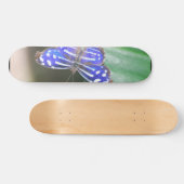 Skateboard Produit de personnaliser (Horz)