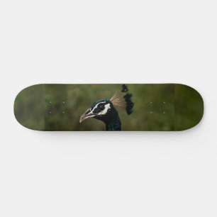 Skateboard Profil de Peacock