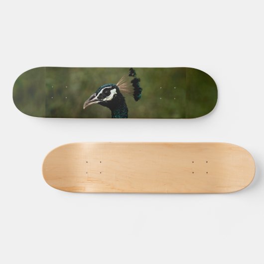 Skateboard Profil de Peacock (Horz)