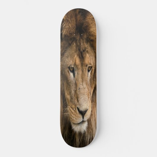 Skateboard puissant LION construit (Recto)