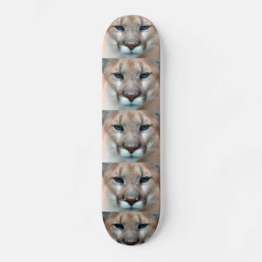Skateboard Puma (Recto)