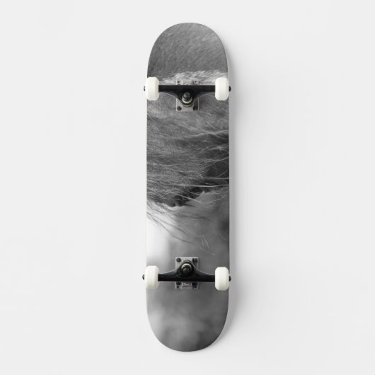 Skateboard pur (Recto)