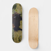 Skateboard Qui Regardez-Vous (Recto)