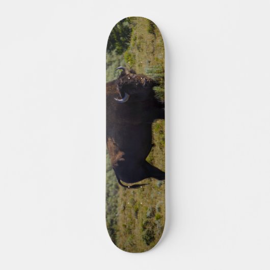 Skateboard Qui Regardez-Vous (Devant)