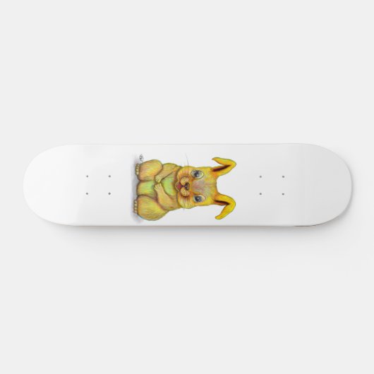 Skateboard Rabbit d'eau (Horz)