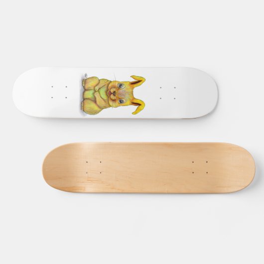 Skateboard Rabbit d'eau (Horz)