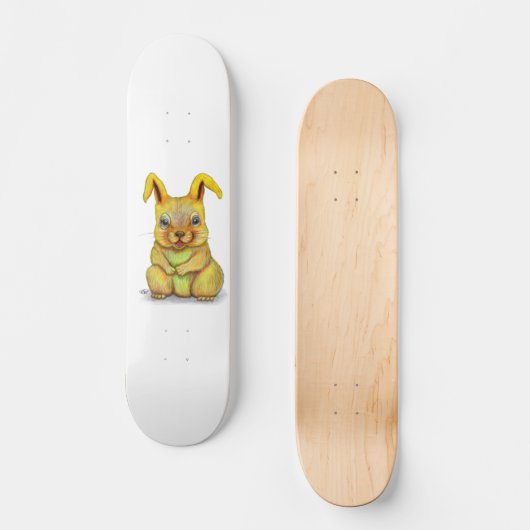 Skateboard Rabbit d'eau (Recto)