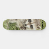 Skateboard Raton laveur (Horz)