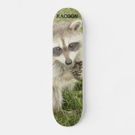 Skateboard Raton laveur (Recto)
