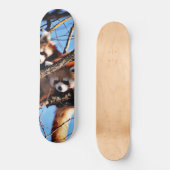 Skateboard red pandas (Recto)