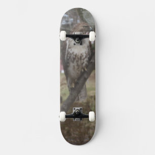 Skateboard Red-tailed Hawk - Choose YOUR Deck
