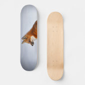 Skateboard Renard rouge en hiver (Recto)