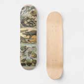 Skateboard Reptiles (Recto)