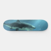Skateboard Requin (Horz)