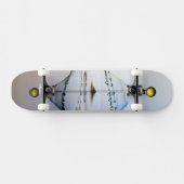 Skateboard Résumé (Horz)