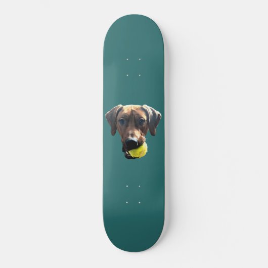 Skateboard Rhodesian Ridgeback (Recto)