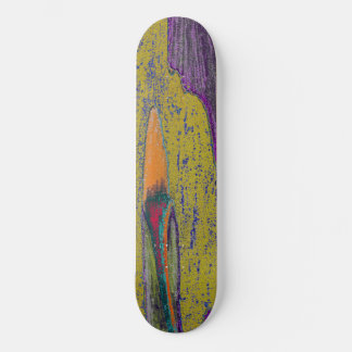 Skateboard Ride Nature avec attitude II