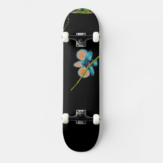 Skateboard Ride nature II (Recto)