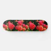 Skateboard Roses de corail romantique (Horz)