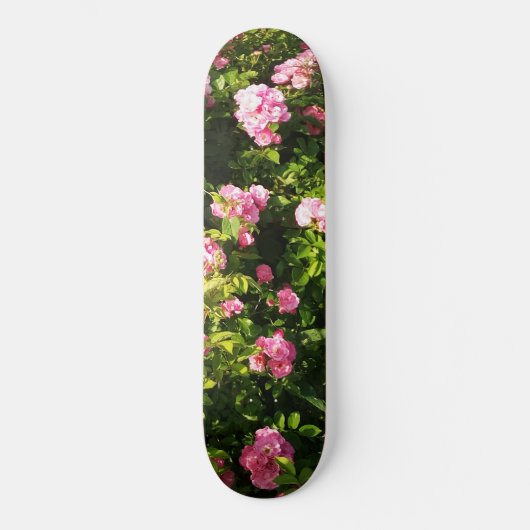 Skateboard Roses roses en fleur (Recto)