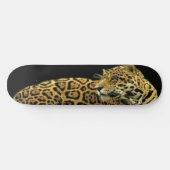 Skateboard Route Jaguar (Horz)
