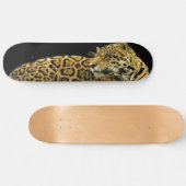 Skateboard Route Jaguar (Horz)