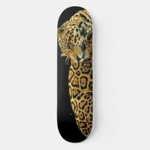 Skateboard Route Jaguar