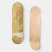 Skateboard Route vers Sansol (Recto)