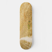 Skateboard Route vers Sansol (Recto)