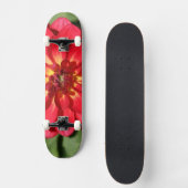 Skateboard Ruby Red Dahlia Fleur Two (Recto)