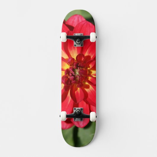 Skateboard Ruby Red Dahlia Fleur Two (Recto)