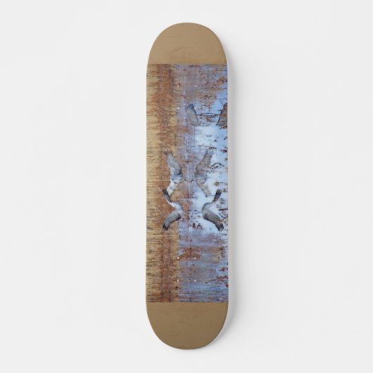 Skateboard Sandhill tend le cou la planche à roulettes de (Devant)