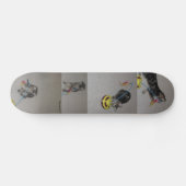 SKATEBOARD SASHA (Horz)