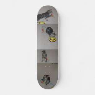 SKATEBOARD SASHA