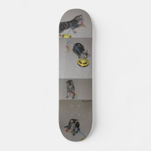 SKATEBOARD SASHA (Recto)
