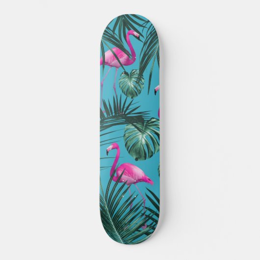 Skateboard Schéma Flamingo Tropical N° 4 (Recto)