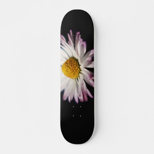 Skateboard Sdcna de marguerite commune (Devant)