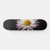 Skateboard Sdcnm de marguerite commune (Horz)