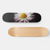 Skateboard Sdcnm de marguerite commune (Horz)