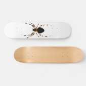 Skateboard Sdm Spider (Horz)