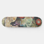 Skateboard Sea Anemone Scientific Nature Ocean (Horz)