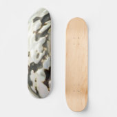 Skateboard Sea Shell (Recto)