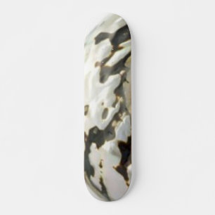 Skateboard Sea Shell