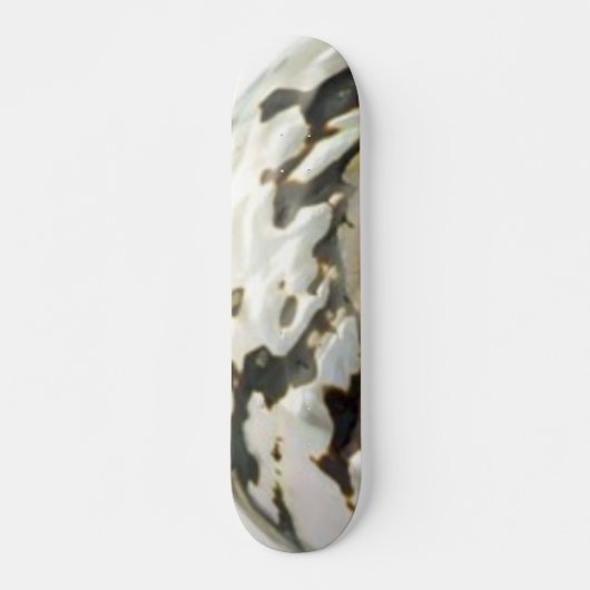 Skateboard Sea Shell (Devant)
